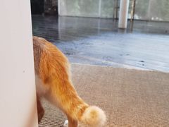 -原乡芦茨咖啡