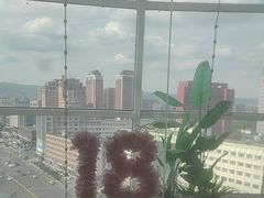 -海底捞火锅(振华广场生日主题店)