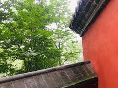 -阳台山自然风景区