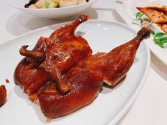 首创昆明BB乳鸭-东富酒家(龙湖西溪天街店)