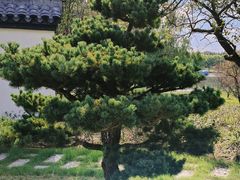 -东方绿舟景区
