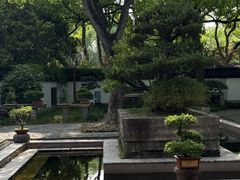 -上海醉白池公园