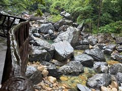 -石台牯牛降景区