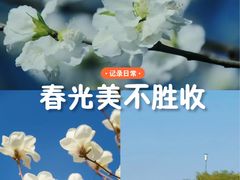 -北京国子监胡同