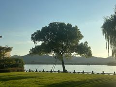 -杭州西湖柳莺里酒店·闻莺厅