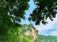 -王顺山国家森林公园