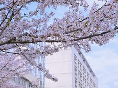 -江南大学(蠡湖校区)