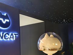 -梵猫·新养生(鹭江大同店)