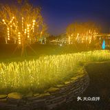 火锅美食探店日