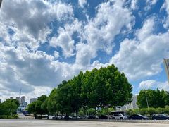 -查令84号咖啡馆(金大地1912东西街店)