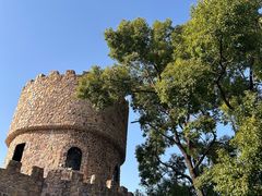 -J Create城市露营咖啡·简餐·宠物(上海动物园店)