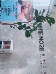 -ONE MORE变画