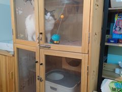 -派多格宠物·购宠(靛厂路店)