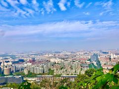 -杭州植物园