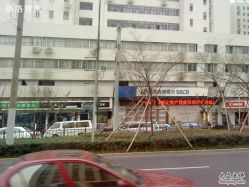 DSC00602-一丁木造型