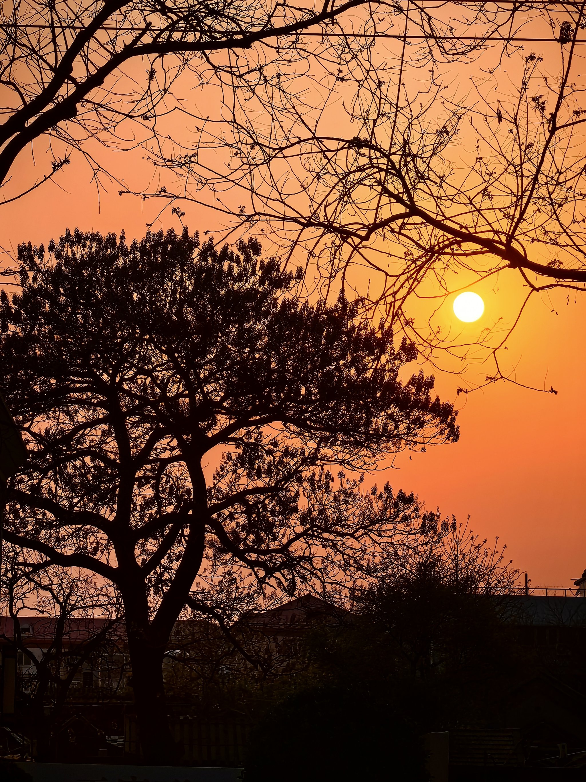 几度夕阳红壁纸图片