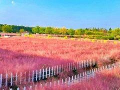 -嘉北郊野公园