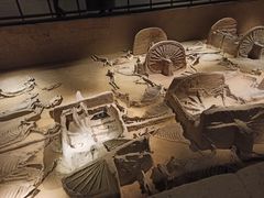 -洛阳周王城天子驾六博物馆