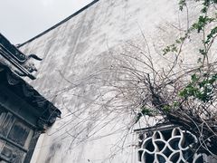 -艺圃