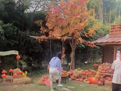 -HERRE·FARM 赫尔露营农场·团建聚会包场