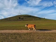-塞罕坝国家级自然保护区