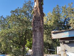 -中国第四纪冰川遗迹陈列馆