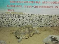 -上海昆虫博物馆