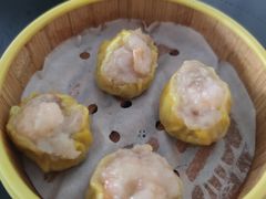 -公园炒冰