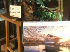 -猫的天空之城概念书店(杭州南宋御街店)