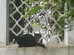 -西园戒幢律寺