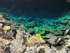 -叠溪松坪沟景区