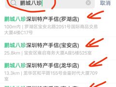 -鹏城八珍深圳特产手信(罗湖店)