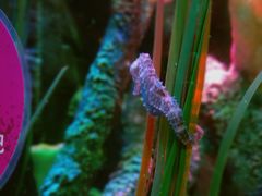 -沈阳海洋探索中心