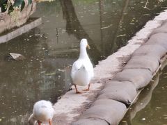 -西安市长乐公园