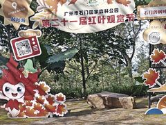 -广州市石门国家森林公园