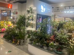 -巴黎春天(浦建店)