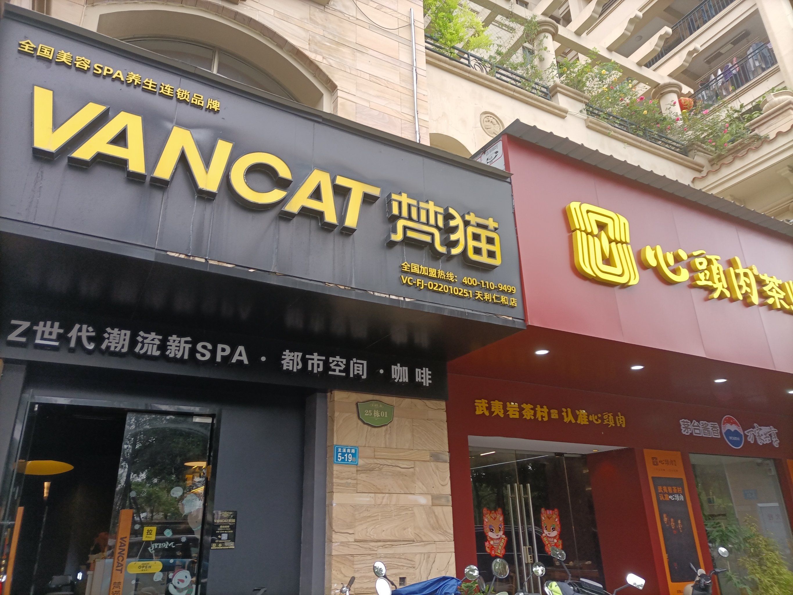 打卡天利仁和店梵猫