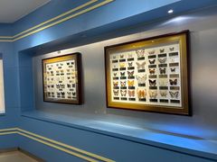 -上海昆虫博物馆