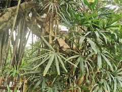 -龙达温泉生态城