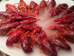 精品酒醉龙虾-红盔甲·小龙虾(人民广场店)