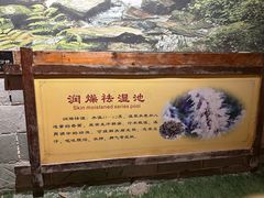 -华山御温泉度假村