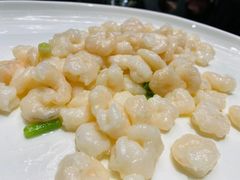 新雅滑虾仁-新雅粤菜馆(南京东路店)