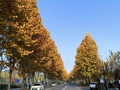 -南京金牛湖风景区