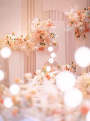 -艾米婚纱&婚礼策划