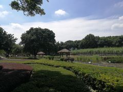 -天河儿童公园