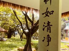 -大雁山风景区