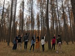 -塞罕坝国家级自然保护区