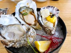 -Hatsune隐泉日式料理(三里屯太古里店)