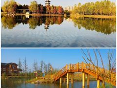 -洋湖国家湿地公园