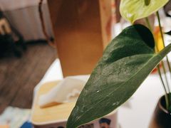 -眉州东坡(民族园店)